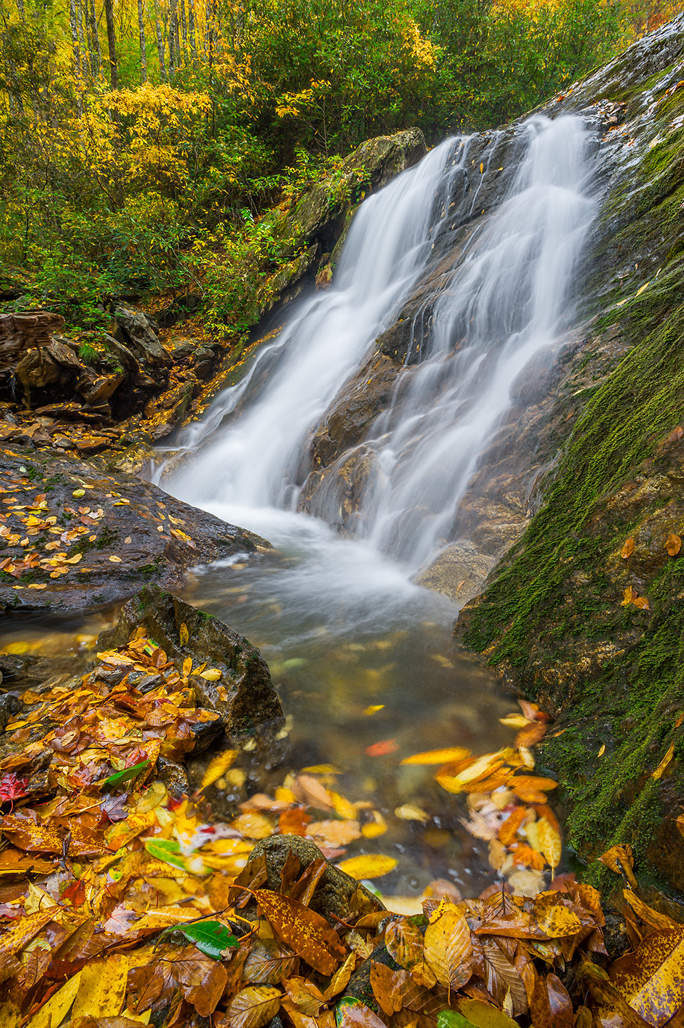 North Carolina Waterfalls & Waterfall Keepers of NC, with Kevin Adams